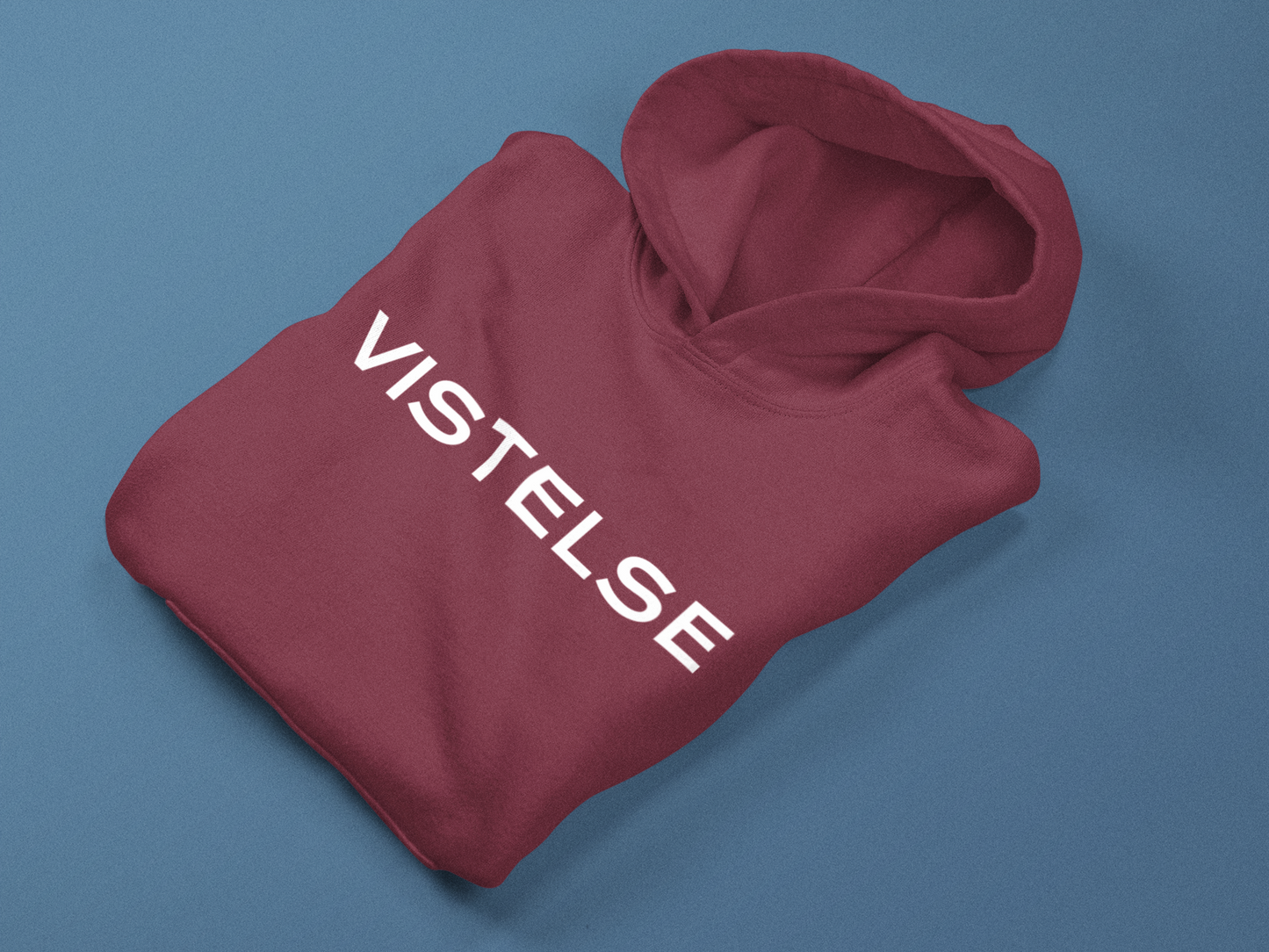 VISTELSE Logo Embroidered Unisex Hoodie